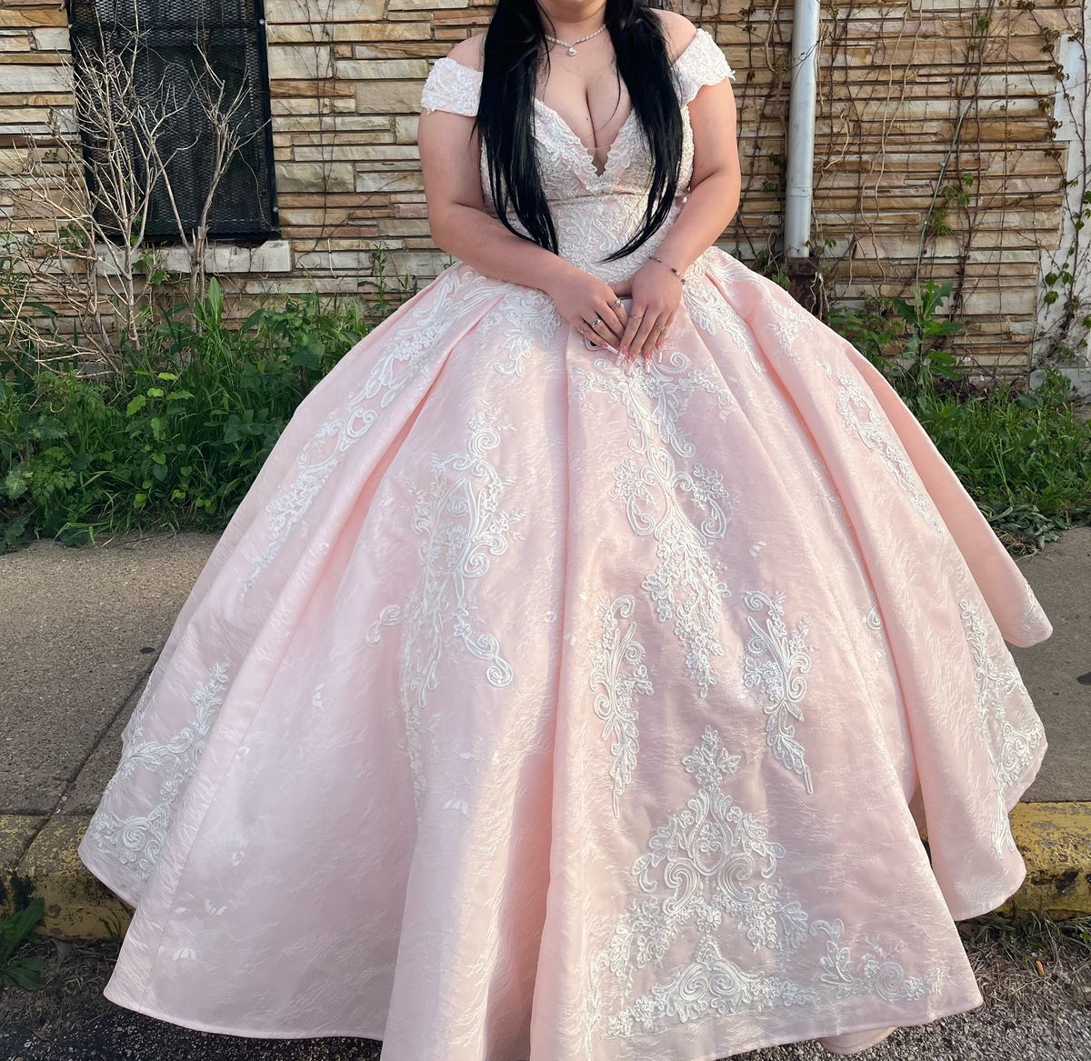 Plus Size 20 Off The Shoulder Pink Ball Gown on Queenly
