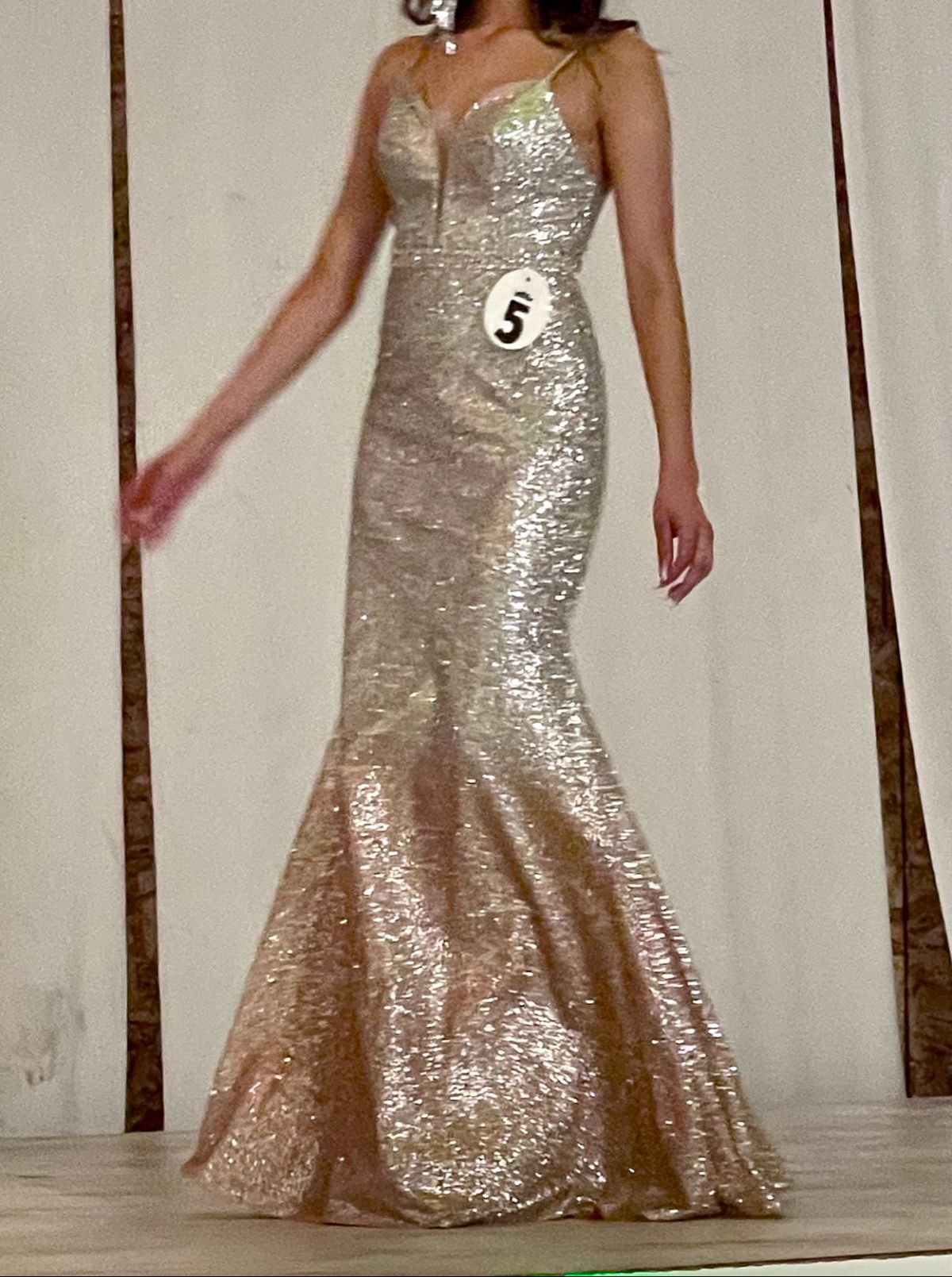 Cinderella Divine Size 2 Prom Plunge Multicolor Mermaid Dress on Queenly