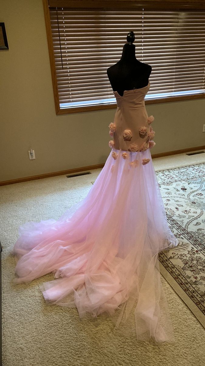 Size 4 Prom Strapless Pink Dress With Train on Queenly