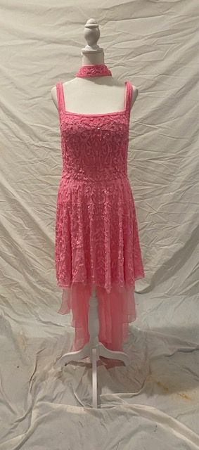 Ashley Lauren Size 14 Pink Cocktail Dress on Queenly