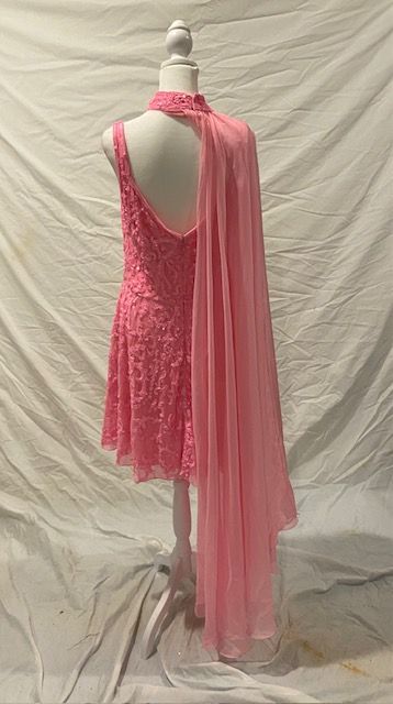 Ashley Lauren Size 14 Pink Cocktail Dress on Queenly