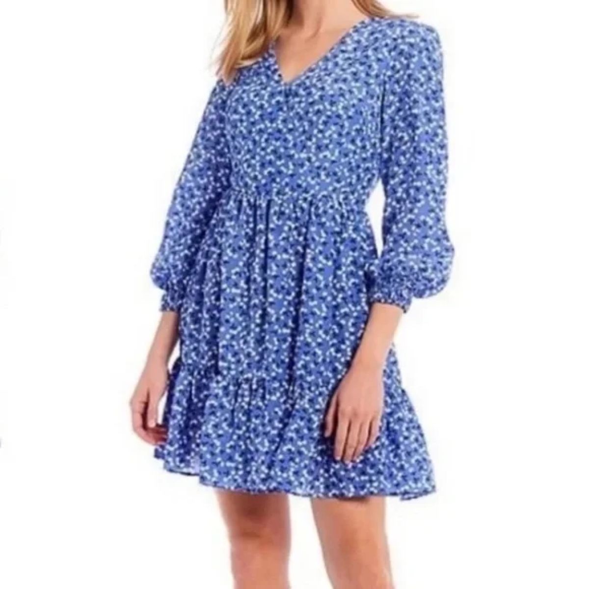 Eliza J Size 4 Long Sleeve Floral Blue A-line Dress on Queenly