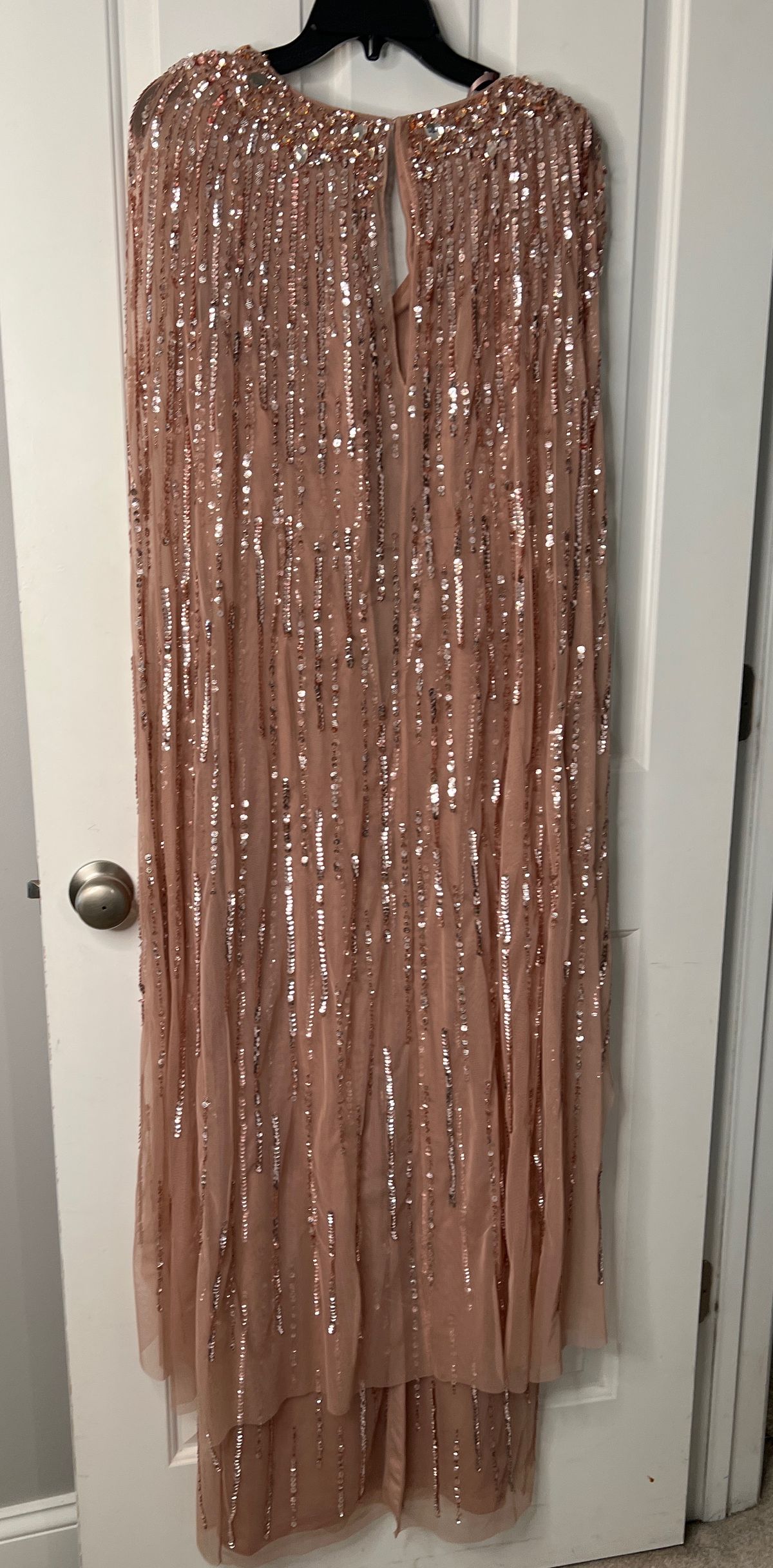 Adrianna Papell Size 6 Prom Cap Sleeve Nude A-line Dress on Queenly