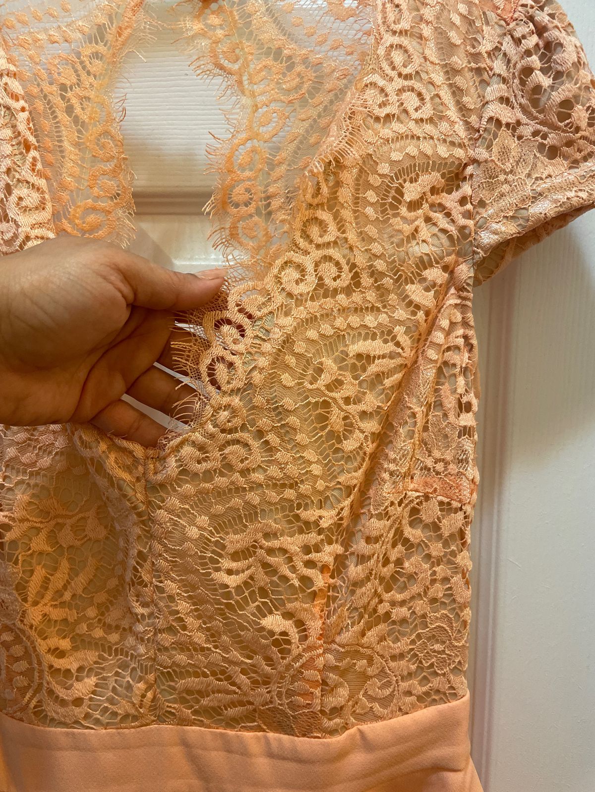 Size M Cap Sleeve Lace Orange Cocktail Dress on Queenly