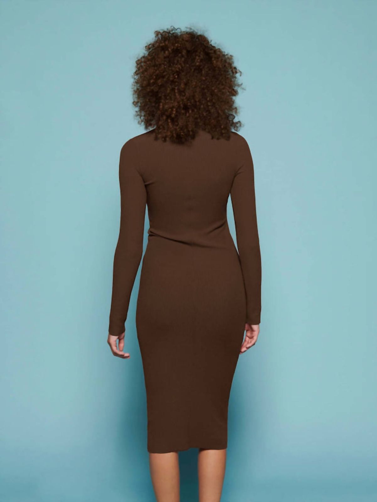 Style 1-2906947627-70 Nation LTD Size XS Long Sleeve Brown Cocktail Dress on Queenly