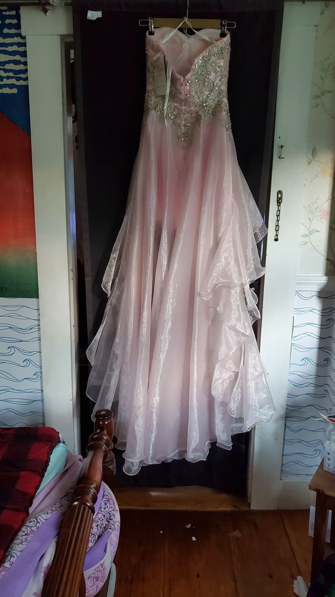 Tony Bowls Size 2 Prom Pink Ball Gown on Queenly