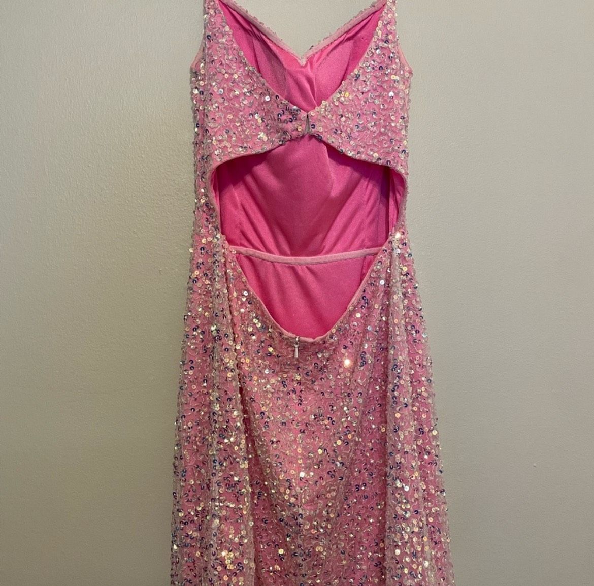 Ashley Lauren Size 4 Pageant Pink Floor Length Maxi on Queenly