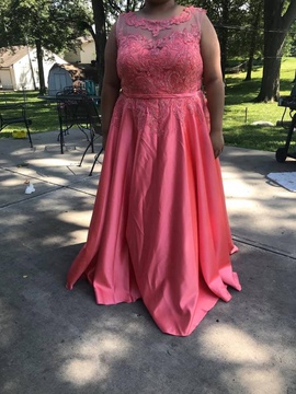 Pink Size 26 Ball gown on Queenly