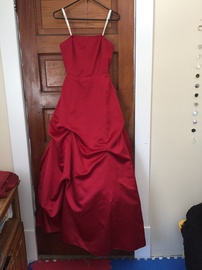 David's Bridal Red Size 4 Ball gown on Queenly