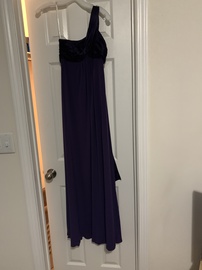 David's Bridal Purple Size 2 Prom Straight Dress on Queenly