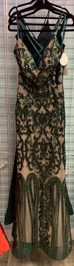 Val Stefani Green Size 6 Jewelled Medium Height Mermaid Dress on Queenly