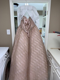 Nude Size 16 Ball gown on Queenly