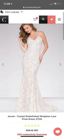 Jovani White Size 2 Jewelled Lace Mermaid Dress on Queenly