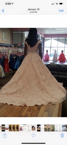 Sherri Hill Pink Size 2 Lace Ball gown on Queenly