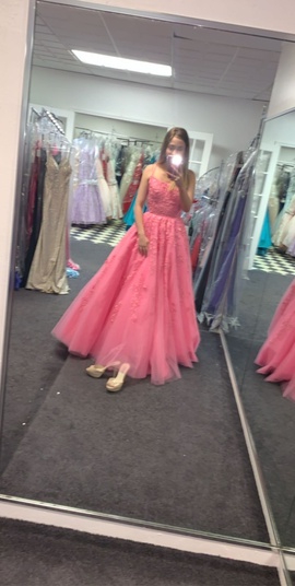 Sherri Hill Pink Size 0 Medium Height Prom Ball gown on Queenly