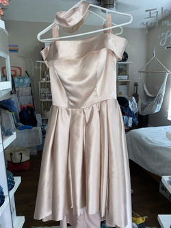 dreamdressy Pink Size 4 Silk Ball gown on Queenly