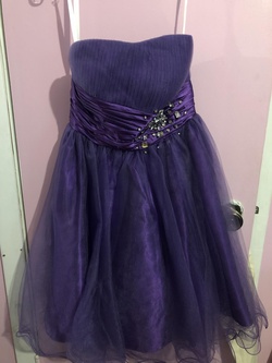 Cinderella Purple Size 6 Medium Height Short Height A-line Dress on Queenly