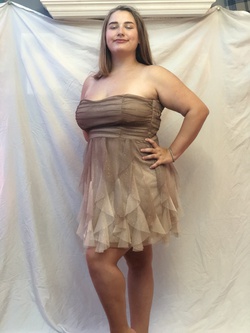 Nude Size 18 A-line Dress on Queenly