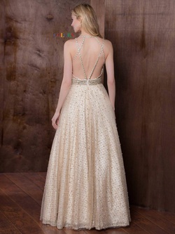 Style 1742 Colors Gold Size 4 Sheer Tall Height Ball gown on Queenly