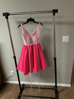 Ellie Wilde Pink Size 00 Corset Cocktail Dress on Queenly