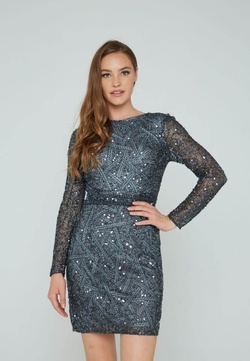 Style 138 Aleta Silver Size 0 Long Sleeve Tall Height Sheer Cocktail Dress on Queenly
