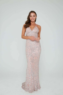 Style 274 Aleta Pink Size 6 Tall Height Prom Straight Dress on Queenly