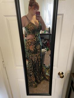 Rachel Allan Multicolor Size 14 Prom Mermaid Dress on Queenly