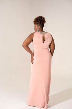 Pink Size 16 Straight Dress on Queenly