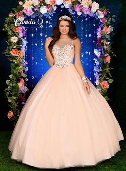 Style Q17011 Karishma Creations Light Green Size 20 Quinceanera Cap Sleeve Floor Length Ball gown on Queenly