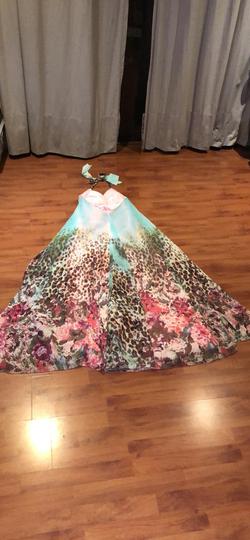 Multicolor Size 2 Train Dress on Queenly