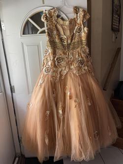 Gold Size 20 Train Dress on Queenly
