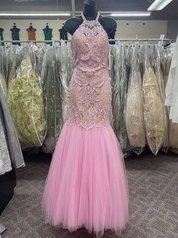 Style EW117120 Ellie Wilde Pink Size 0 Tall Height Tulle Prom Lace Mermaid Dress on Queenly