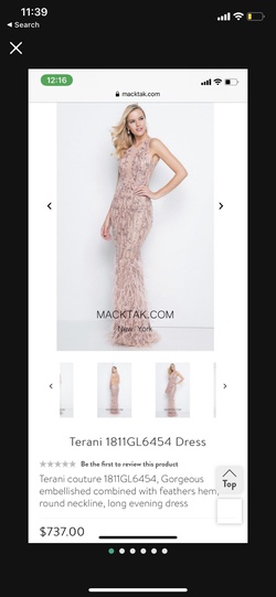 Terani Couture Pink Size 6 Black Tie Floor Length Mermaid Dress on Queenly