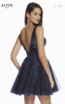 Alyce Paris Blue Size 22 Plus Size Cocktail Dress on Queenly