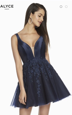 Alyce Paris Blue Size 22 Plus Size Cocktail Dress on Queenly