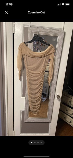 Windsor Nude Size 2 Short Height Straight Dress on Queenly