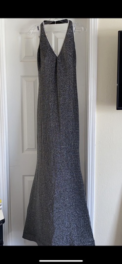Blush Silver Size 6 Straight Dress on Queenly