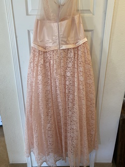 Pink Size 22 Straight Dress on Queenly