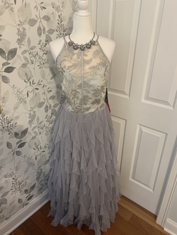 Silver Size 14 Ball gown on Queenly
