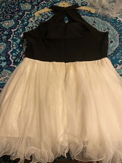 Black Size 20 Cocktail Dress on Queenly