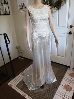 Silver Size 0 Straight Dress on Queenly