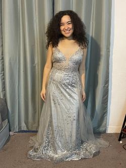 Elizabeth K by GLS Silver Size 8 Prom $300 Pageant Straight Dress on Queenly
