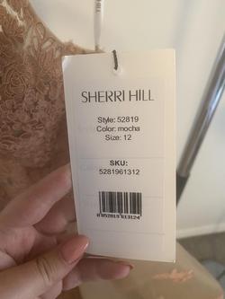 Sherri Hill Nude Size 12 Floral Lace Plunge Plus Size Straight Dress on Queenly