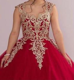 Fifteen Roses Red Size 4 Embroidery Sweet 16 Prom Ball gown on Queenly