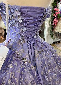 Arianna Vara Purple Size 14 Tall Height Corset Ball gown on Queenly