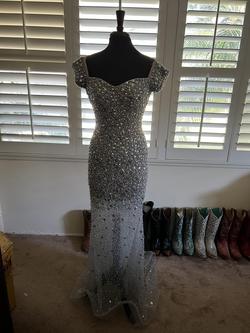 Terani Couture Silver Size 6 Mermaid Dress on Queenly