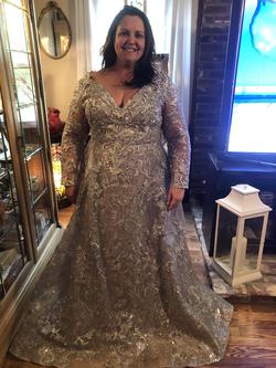 Lara Silver Size 18 Plus Size Medium Height Ball gown on Queenly