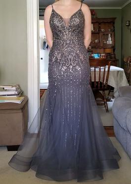 Elle Wilde Silver Size 8 Sheer Prom Mermaid Dress on Queenly