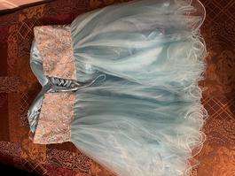 Annny Lee Blue Size 22 50 Off Floor Length Ball gown on Queenly