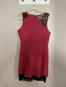 BCBG Pink Size 10 Sunday Sorority Formal Homecoming Cocktail Dress on Queenly